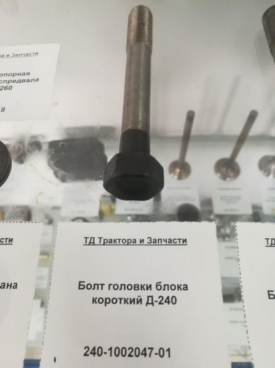 Болт головки блока короткий Д-240