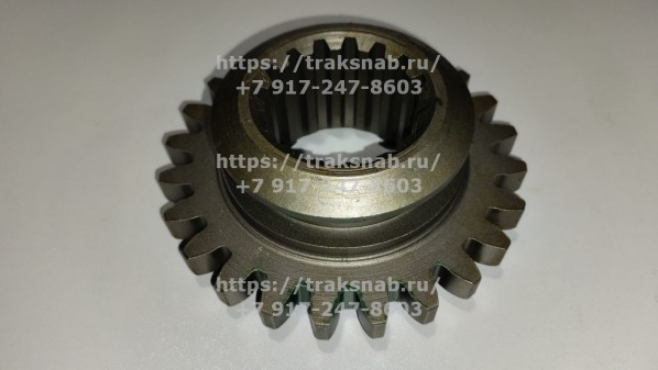 Шестерня 50-4604032-А1 (24 зуб.) МЗШ — 1