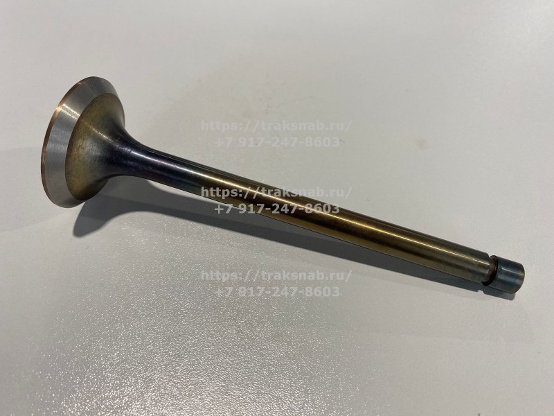 Клапан впускной (большой) Д-240 оригинал — 3