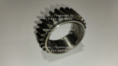 Шестерня к/вала задняя малая (27зуб.) Д-260(15гр )